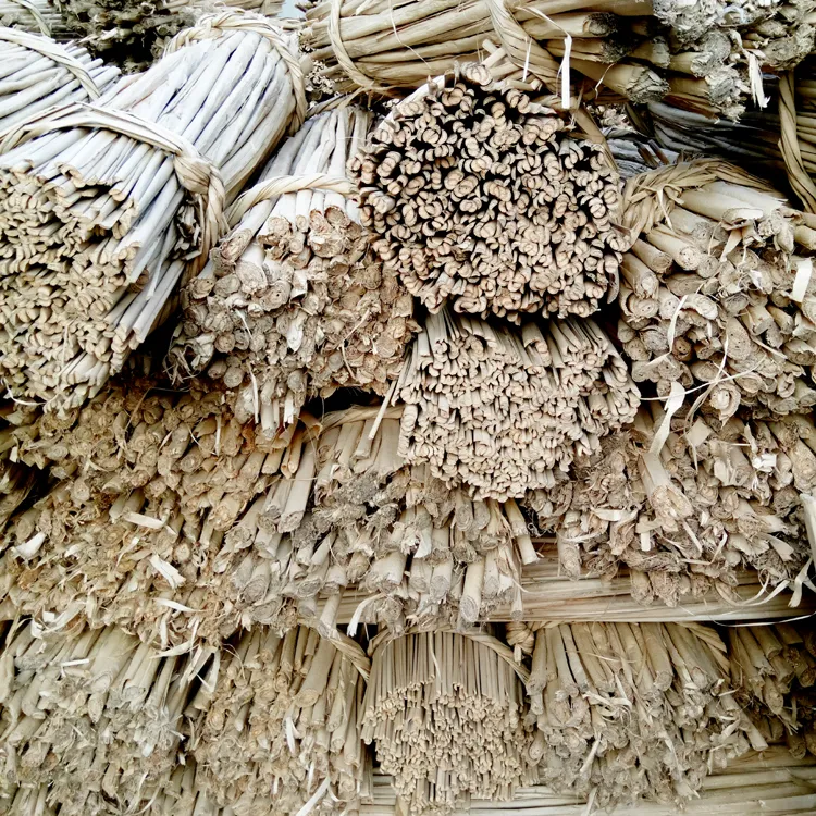 天然晾干蒲草原材料香蒲蒲根蒲叶草编编织原材料