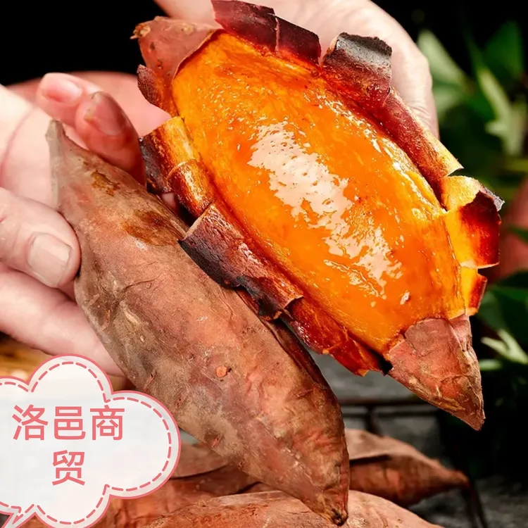 2024新鲜烟薯25【坏果包赔】净重  5斤装25号