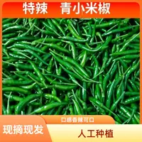 正宗青小尖椒剁椒青米椒特辣现摘特色农家蔬菜特色蔬菜产地辣椒