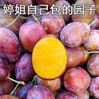 【顺丰 冰箱保鲜】新疆伽师西梅15g起 净重4斤 蜜甜 成熟度高