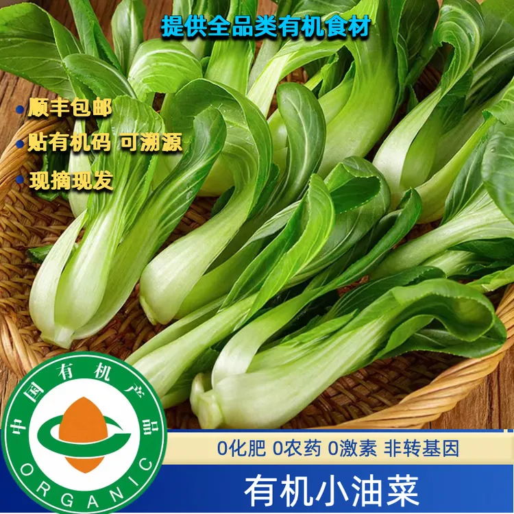 有机上海青有机油菜3斤顺丰现摘现发，新鲜无农残安心好绿色蔬菜