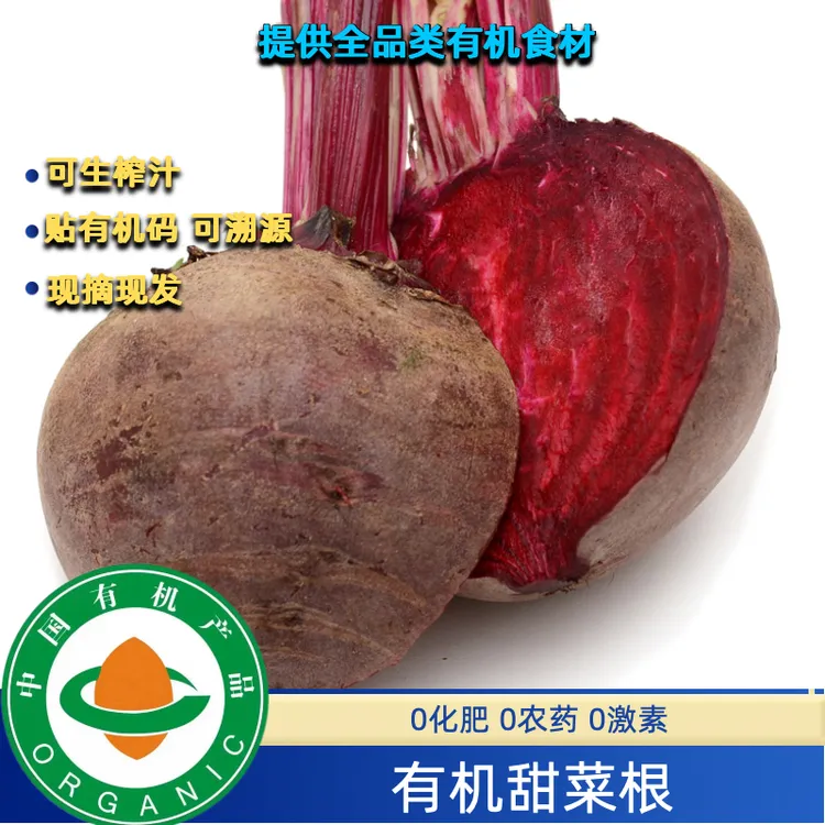 有机甜菜根3斤有机认证无农残可生榨汁，健康食物有机红菜头