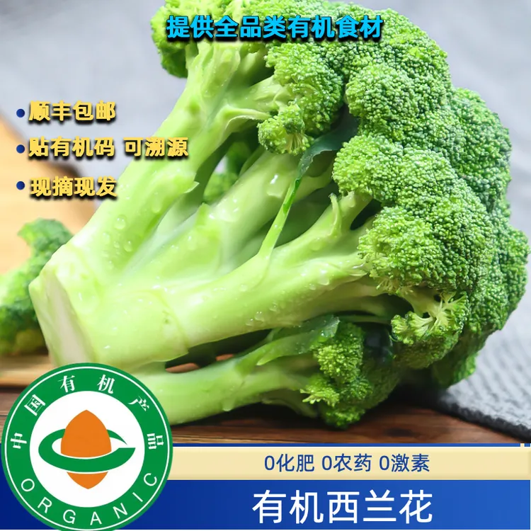 有机认证有机西兰花有机花椰菜现摘现发货，新鲜无农残自然生长