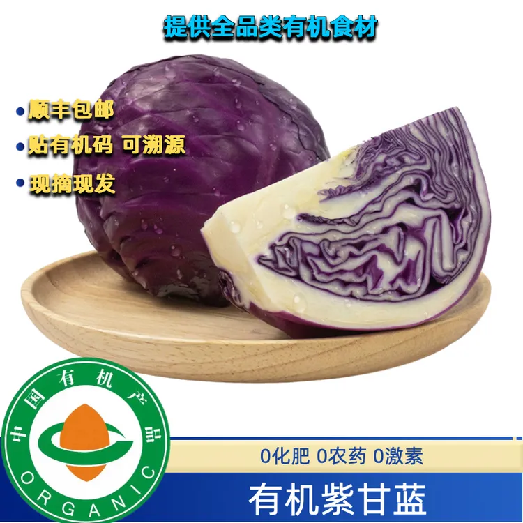 3斤有机紫甘蓝有有机码无农残味道好现摘现发有机甘蓝新鲜自然