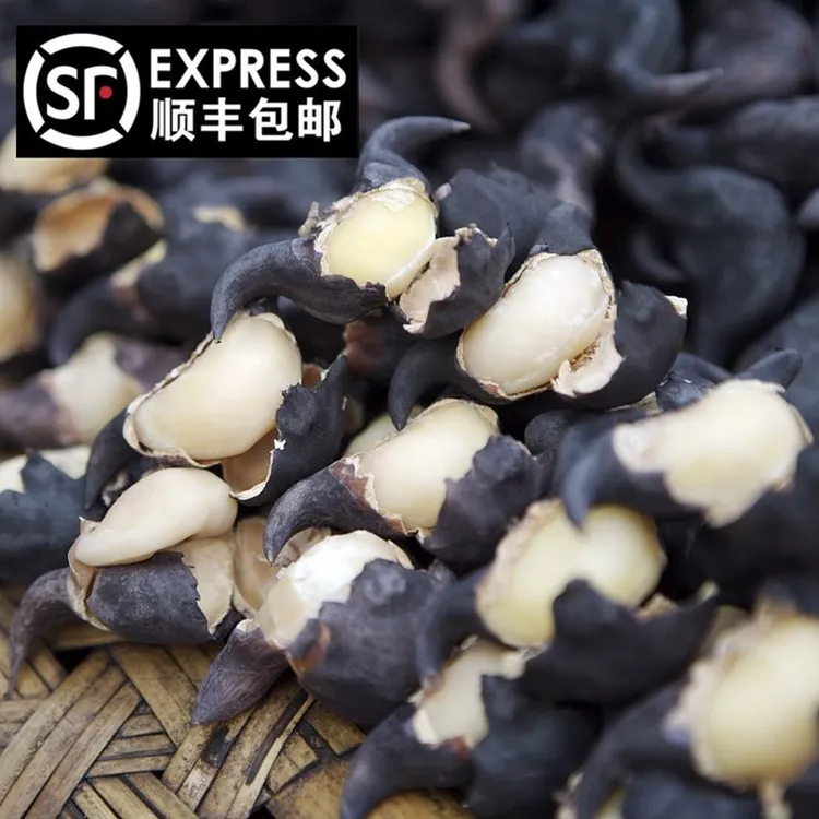 洪湖菱角新鲜老菱角粉糯莲角湖北特产棱角5斤3斤顺丰包邮