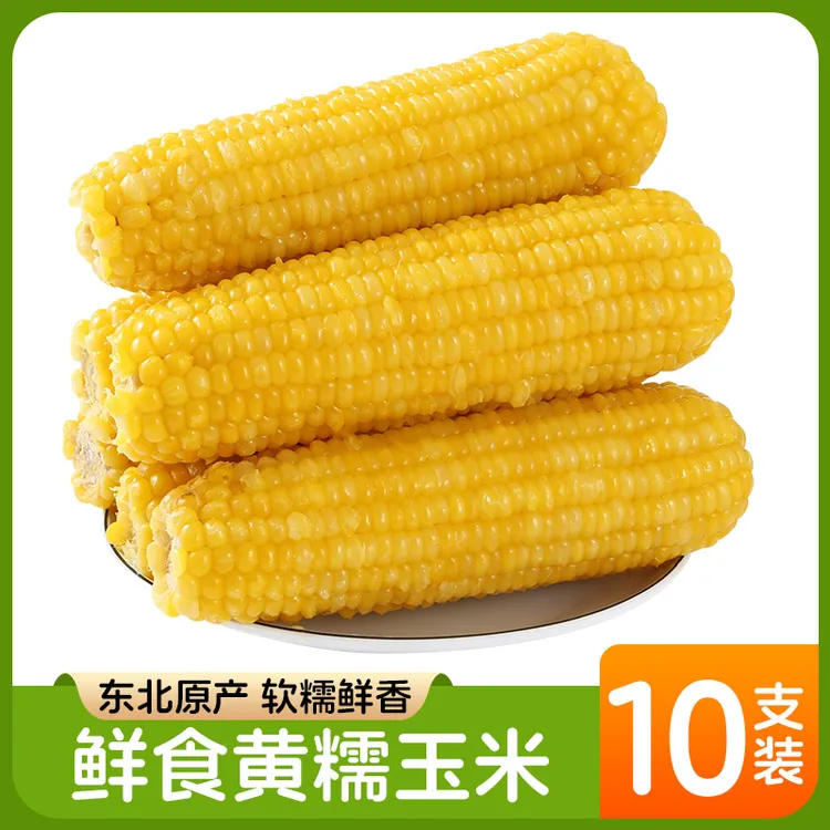 东北黄玉米白玉米新鲜糯玉米粘玉米真空10支试吃2支