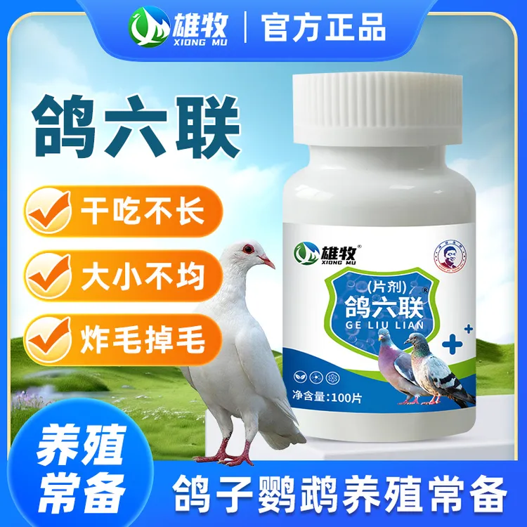 雄牧鸽六联专用正品黄绿稀便甩头甩鼻大肠杆沙门氏畜牧添加剂