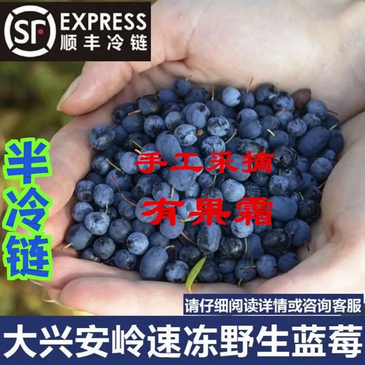 冻野生蓝莓手工果2斤10斤 顺丰半冷链兴安岭野生蓝莓都柿果昔安疗