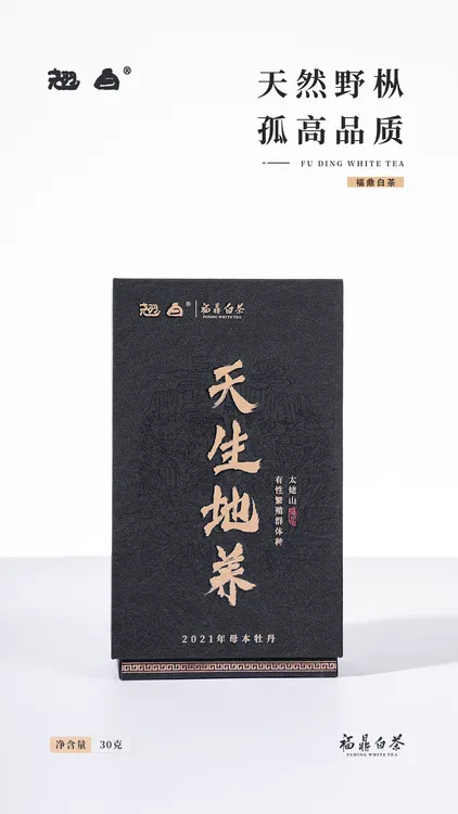 2021年母本白牡丹小菜茶太姥山产区高山纯料野生茶有性繁殖