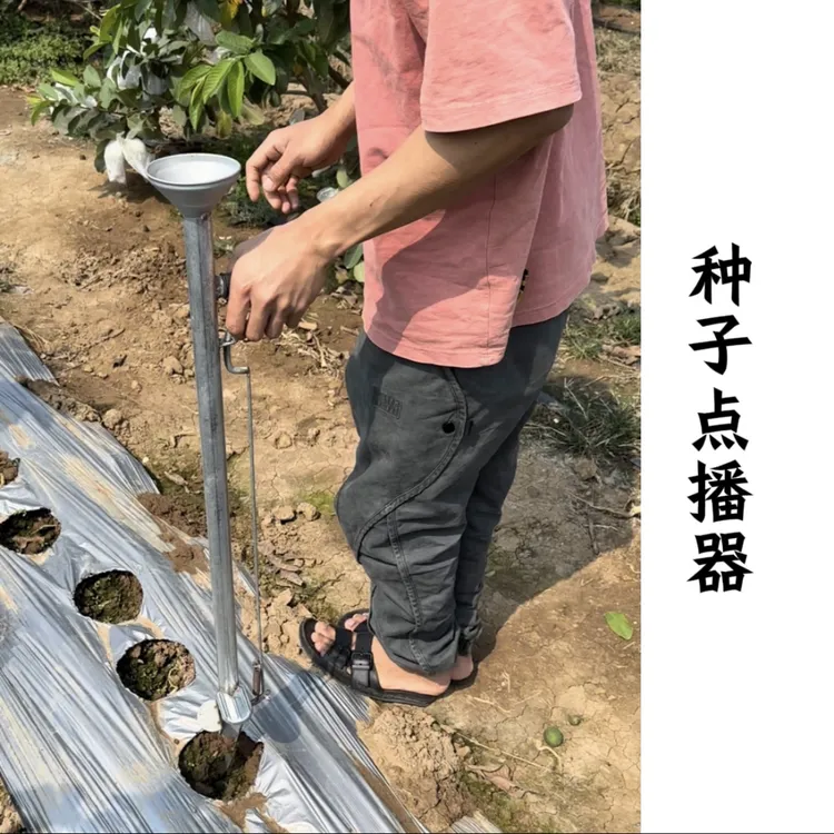 省力农用播种机种豆子点种多功能点播器适用多种种子
