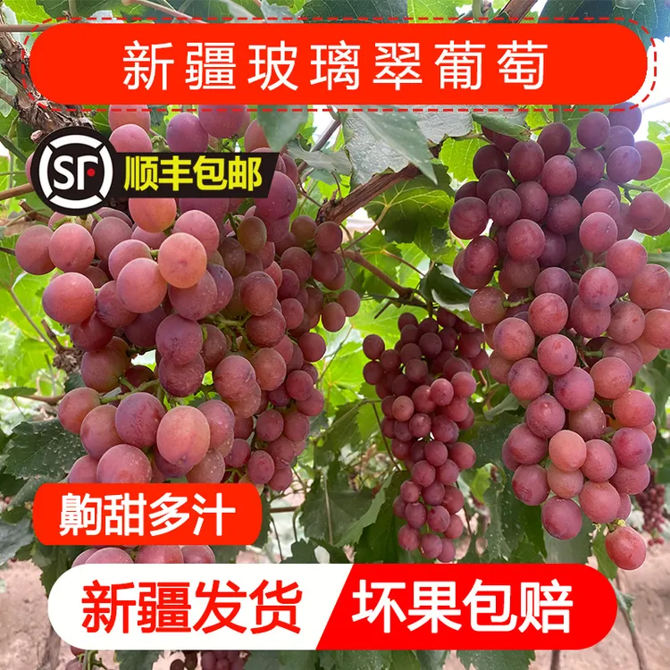 【空运到家】新疆新鲜葡萄原产快递发货果园种植多汁精品爆汁3.6斤