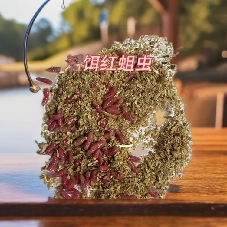 钓鱼鲜活蛆虫活体昆虫鱼饵垂钓溪流河流湖泊