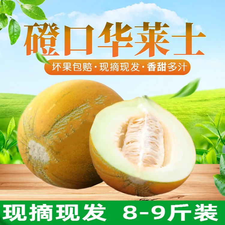 【嗨妹儿】内蒙磴口华莱士蜜瓜香甜多汁现摘产地直发净重8.5-9斤