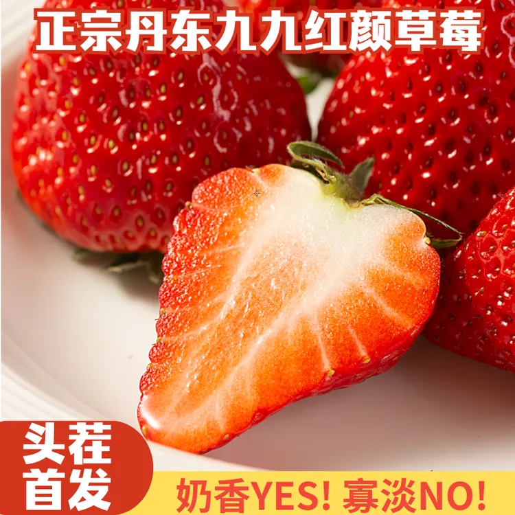 「牛奶草莓」正宗丹东九九草莓红颜奶油草莓产地现采直发空运包邮