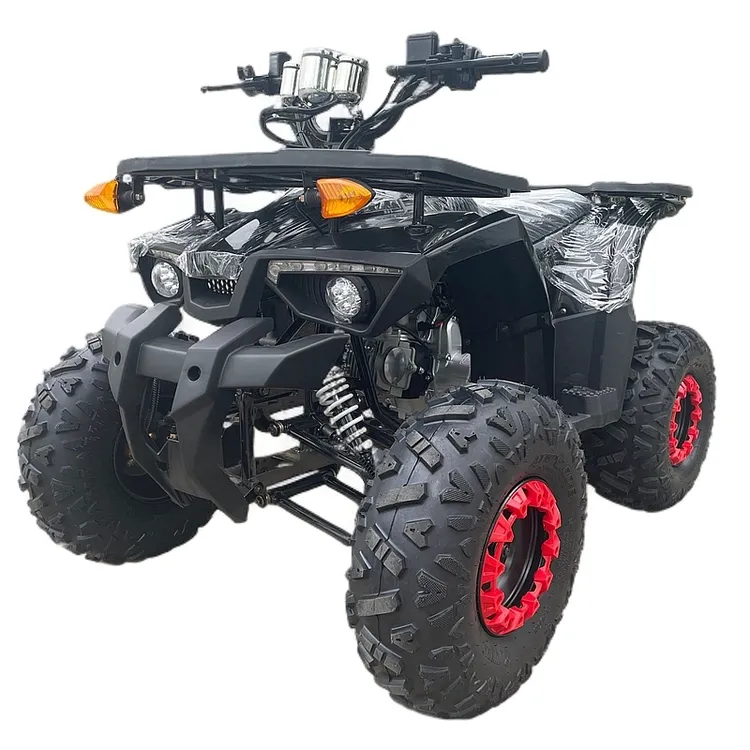 全地形沙滩车125CC两驱自动挡大尺寸越野车前后大货架