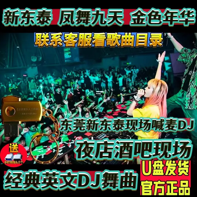 新东泰凤舞九天金色年华经典英文DJ舞曲老歌电音车载通用音乐优盘