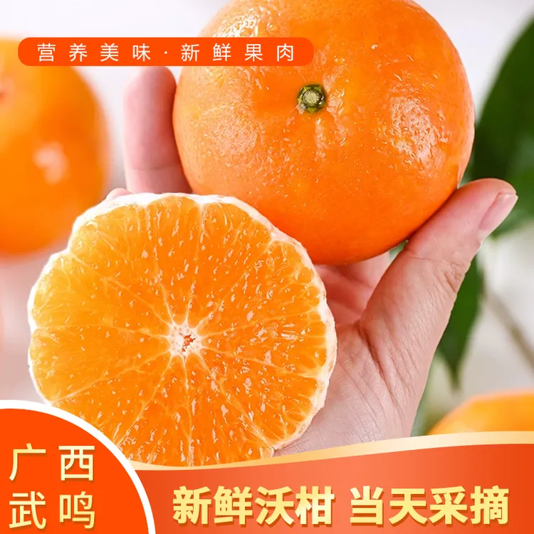 广西武鸣沃柑橘子水果新鲜大果桔子橘子当季砂糖皇帝蜜柑整箱直发