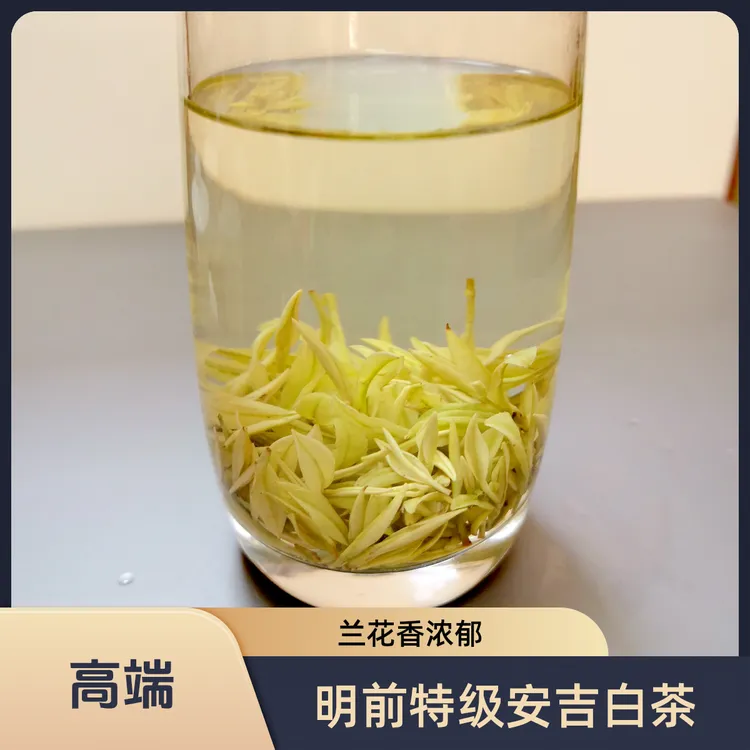 安吉白茶奶白茶特级明前新茶2024年绿茶小米芽特惠价送礼