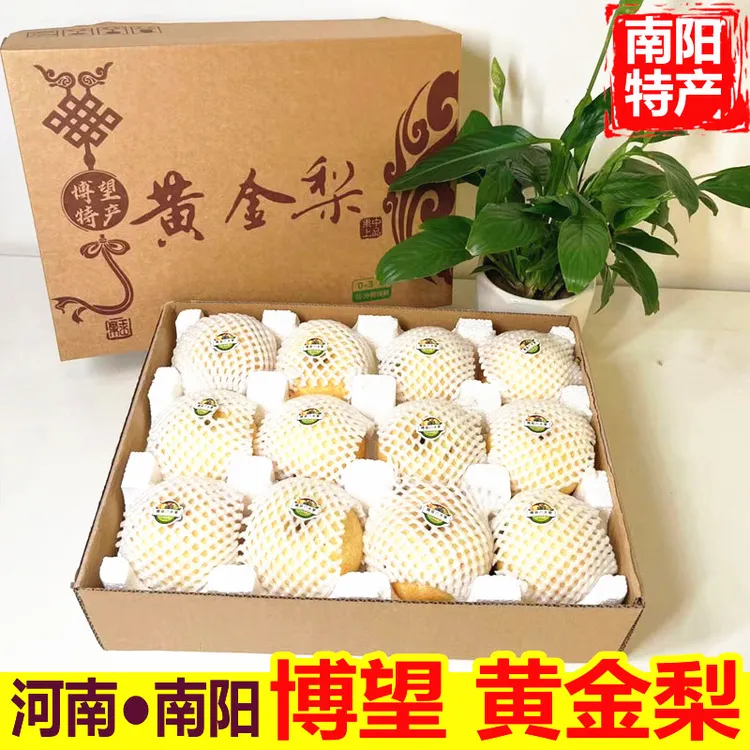 方城黄金梨南阳特产梨子新鲜水果礼品盒博望雪梨包装箱白梨礼盒装
