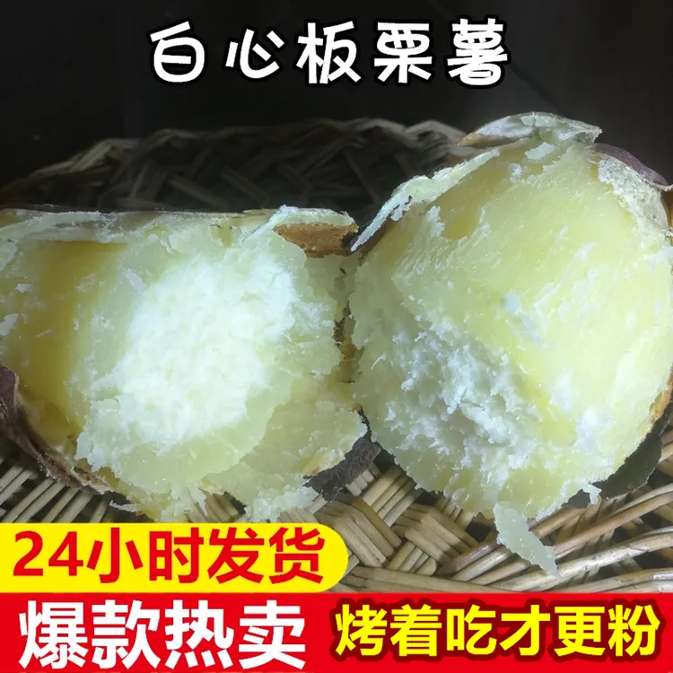 河南现挖新鲜白心板栗薯白瓤面糯甜红薯2斤5斤老品种地瓜番薯白薯