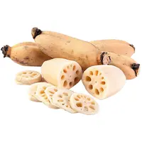 中节藕500g±50g
