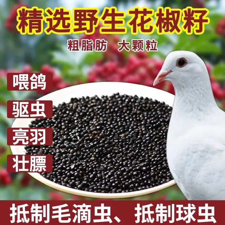 鸽子零食花椒籽，1包5斤新鲜