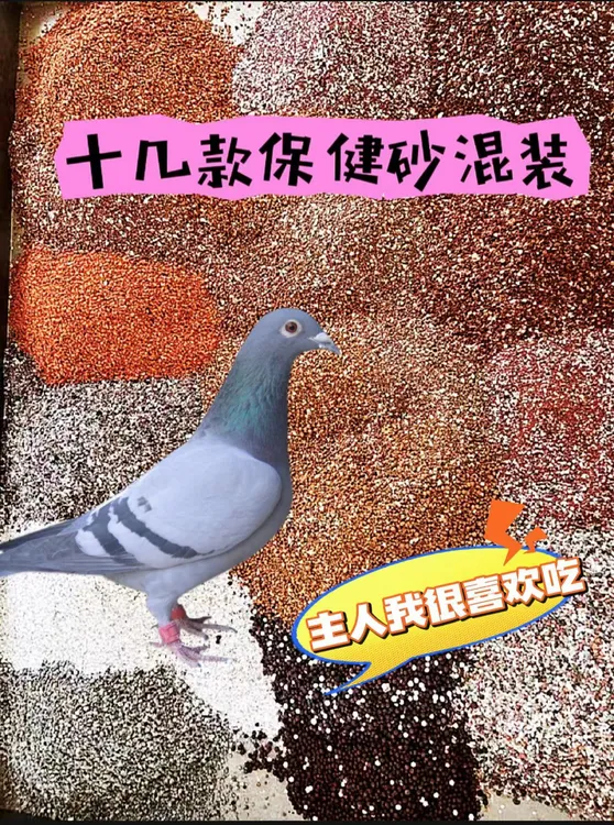 赛鸽宝矿素，5斤，10斤装，混合型鸽用保健砂 信鸽赛鸽观赏鸽精品