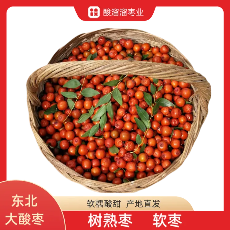 辽宁朝阳大酸枣软糯酸甜软包树熟酸枣