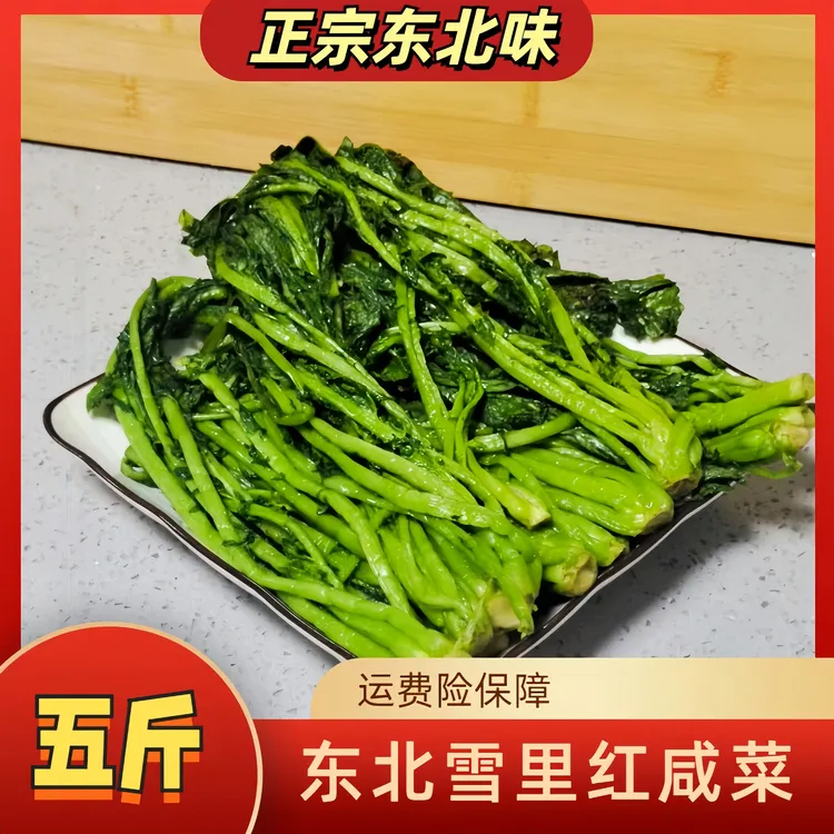 【东北雪里红咸菜5斤】东北特产新鲜腌制雪里红雪里蕻嫩爽东北咸菜
