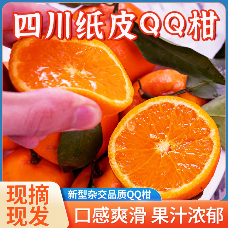 正宗四川纸皮QQ柑现摘现发甜蜜柑橘新鲜当季孕妇水果眉山沃柑fl