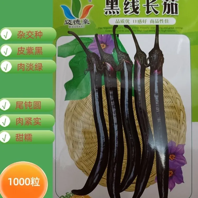 茄子种子 黑线长茄一代杂交黑线茄种籽早熟抗病甜糯皮紫黑肉淡绿