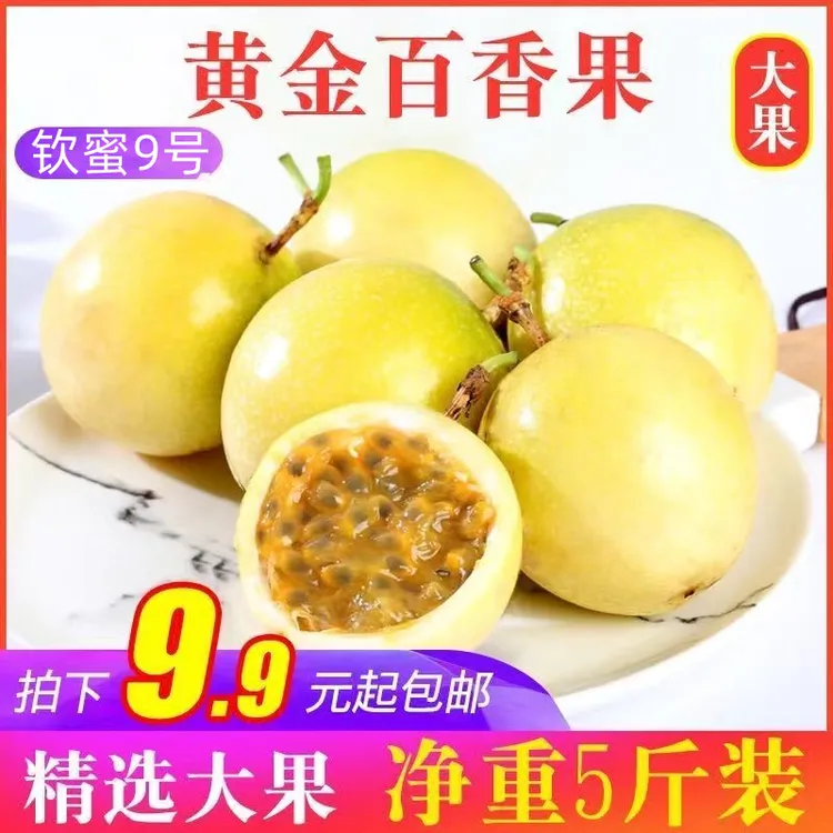 广西钦蜜9号黄金百香果新鲜水果现摘1-5斤大果当季白香果香甜多汁