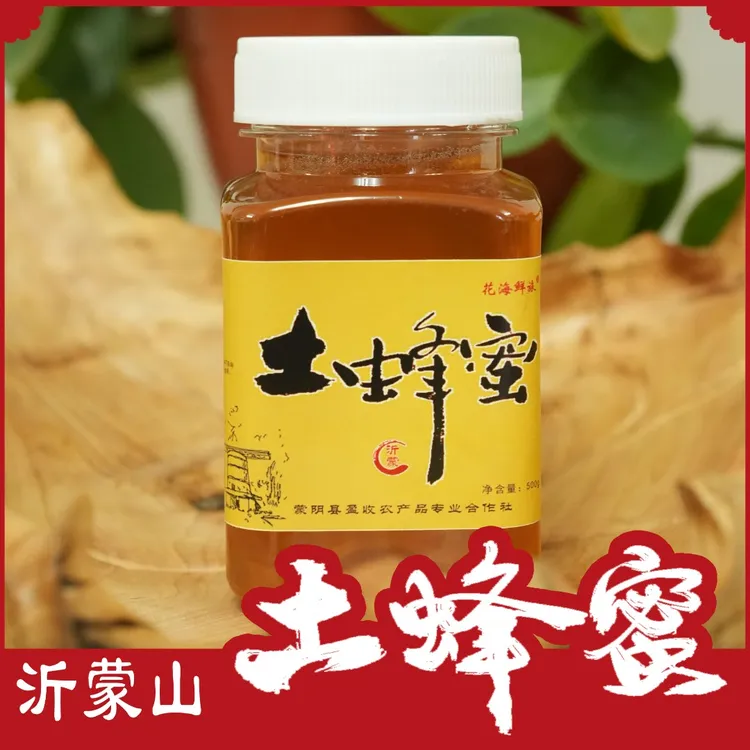 沂蒙山500g/瓶-蜂蜜农家土蜂蜜土蜂蜜