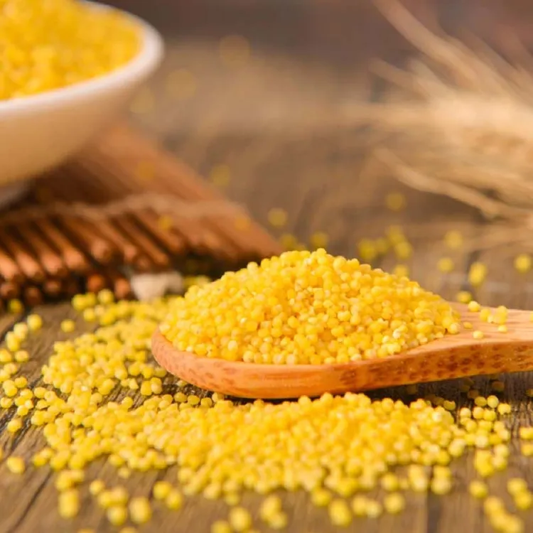 3斤朝阳黄小米香甜天然黄金苗K1粘稠养生营养粥儿童孕妇月子小米