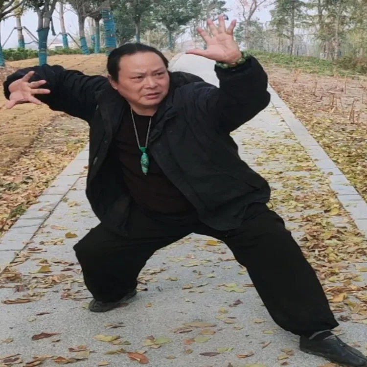 大成拳不外传的小步桩是浑圆桩与矛盾桩之间必练桩20