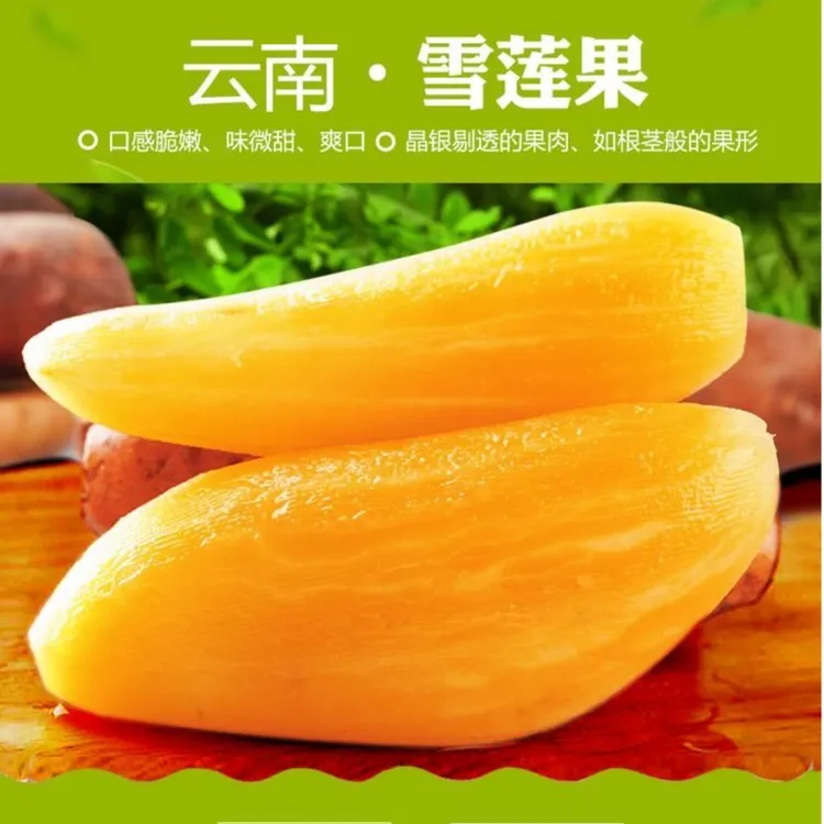 J天山雪莲果9斤新鲜清甜生鲜产地直发脆爽多汁美味脆嫩直供美味