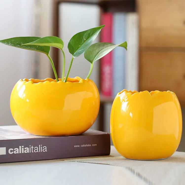 绿萝水培花盆器皿花瓶陶瓷插花花器客厅办公桌装饰品家居摆件花器