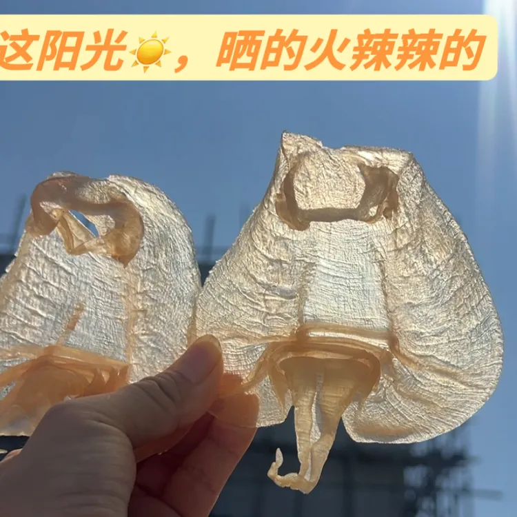 本港活鱼赤嘴公胶 纯日晒 不添加 不加糖不加色 不做旧 清水手工