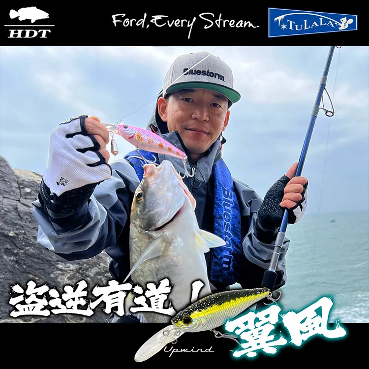 海盗团HDT翼风路亚11g/25克石斑黑鲷假饵远投深潜海钓浮水米诺