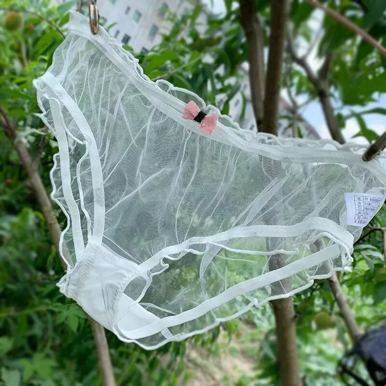 夏季无痕薄款蕾丝内裤女性感中低腰三角裤短日系可爱款女士网纱