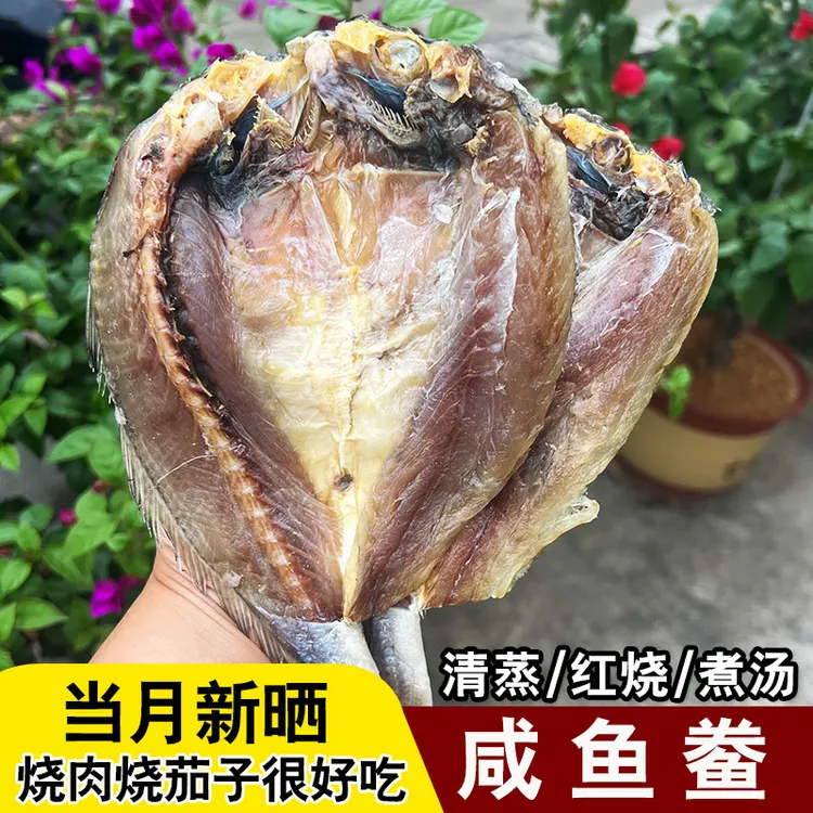 咸鱼鲞白鲞黄鱼鲞白梅白姑鱼鲞咸鱼干下饭菜宁波特产海鲜干咸鱼