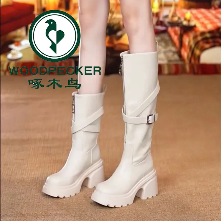 啄木鸟长靴前拉链皮带扣女靴2025冬季新款气质百搭厚底防滑马丁靴
