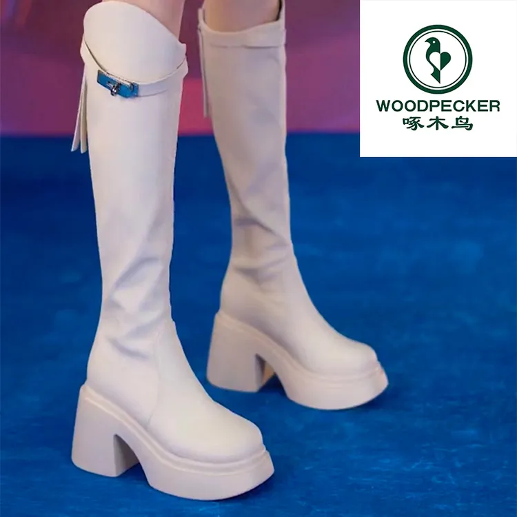 woodpecker/啄木鸟粗跟厚底骑士靴不过膝长筒靴2025后拉链马丁靴