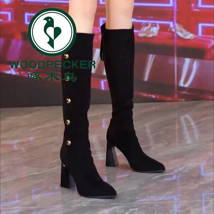 啄木鸟8cm高跟长靴女2025年秋冬新款瘦瘦靴粗跟百搭后拉链骑士靴