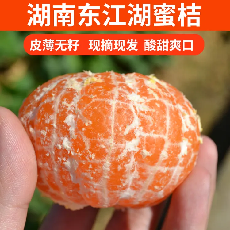 湖南东江湖蜜桔橘子郴州酸甜多汁新鲜薄皮特早无籽孕妇文明水果