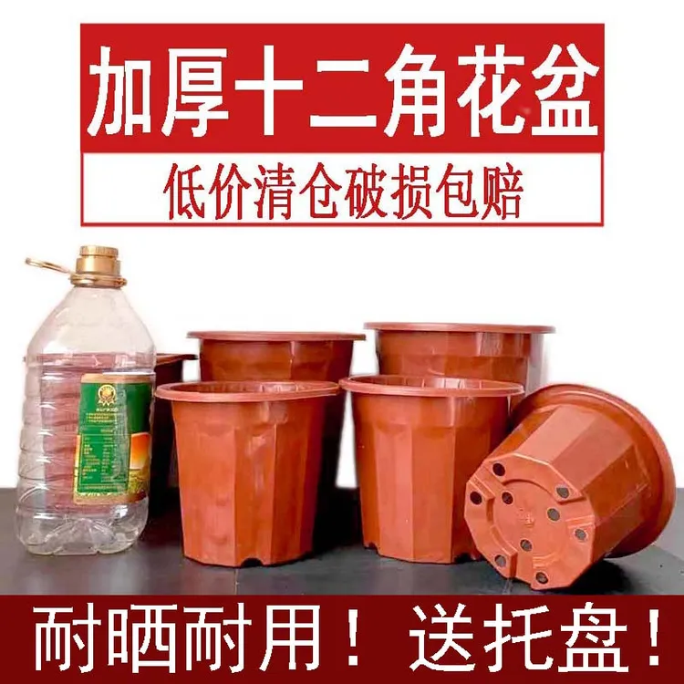 多肉花盆塑料育苗盆大号加厚十二角大型花卉植物控根硬质耐晒耐冻
