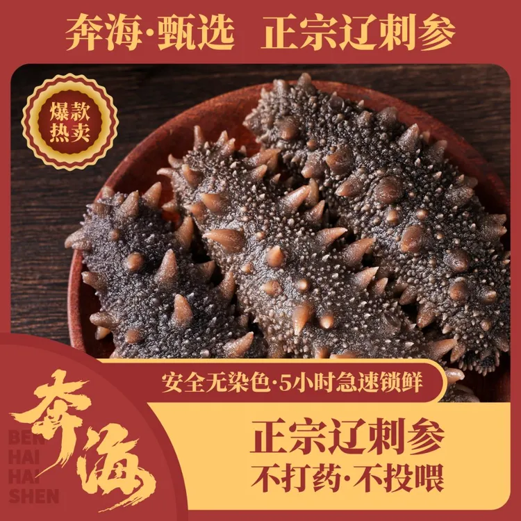【奔海甄选】即食大连辽刺参 鲜活海参制作 不染色 固形物≥80%