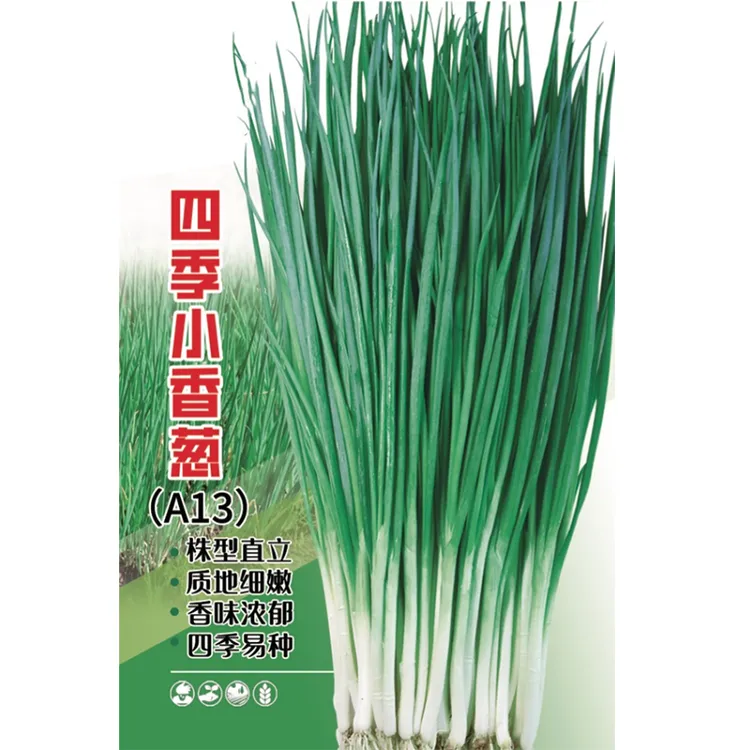 【全店满5/包免邮】四季小香葱种子室内盆栽种子蔬菜干冰种子