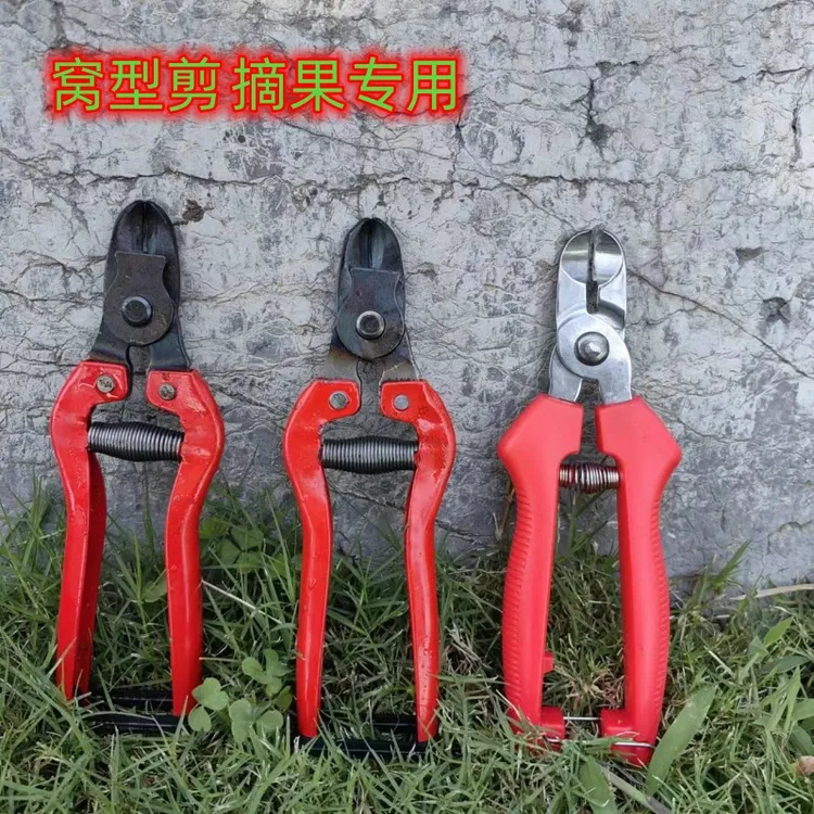 苹果专用果把剪西红柿剪刀窝型剪刀摘橙子剪刀钳形设计不伤果实