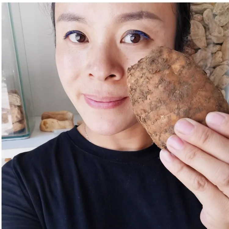 小草坝新鲜天麻菜（一斤500克）三斤送礼盒原产地